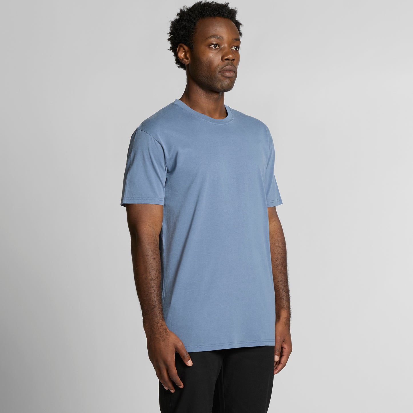 5065 staple faded tee